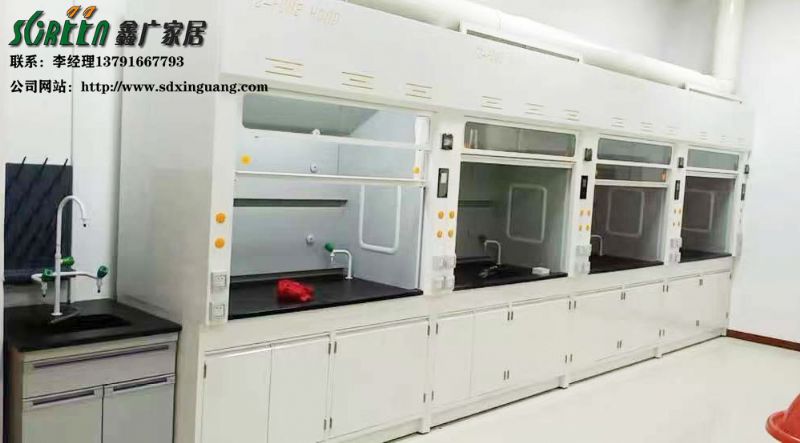 山東通風(fēng)柜實(shí)驗(yàn)臺(tái)定做廠家