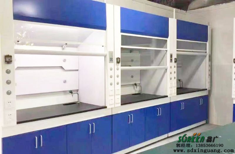 濰坊通風(fēng)柜,實(shí)驗(yàn)室全鋼通風(fēng)柜