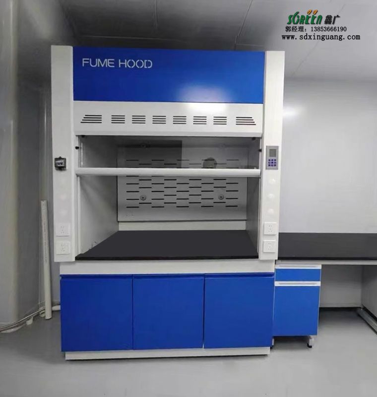山東實(shí)驗(yàn)室設(shè)備全鋼通風(fēng)柜試驗(yàn)臺(tái)全鋼排風(fēng)柜